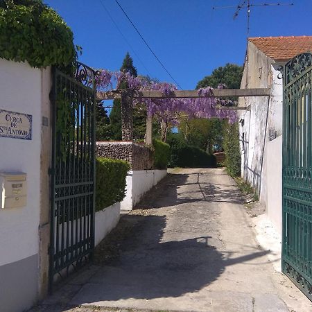 Casa Dos Arrabidos Guest House Torres Novas Exterior photo