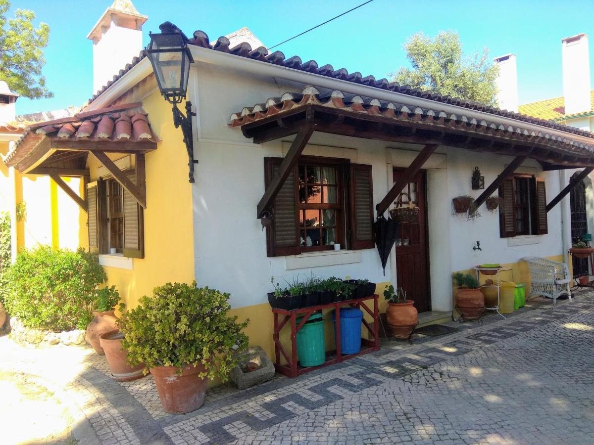 Casa Dos Arrabidos Guest House Torres Novas Exterior photo