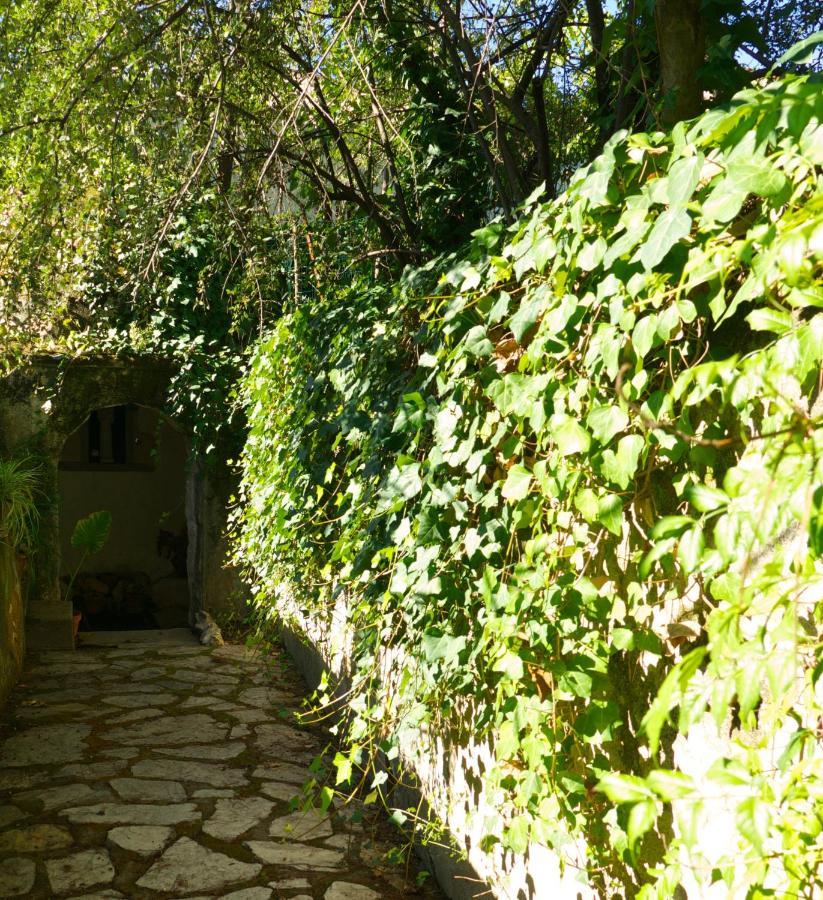 Casa Dos Arrabidos Guest House Torres Novas Exterior photo