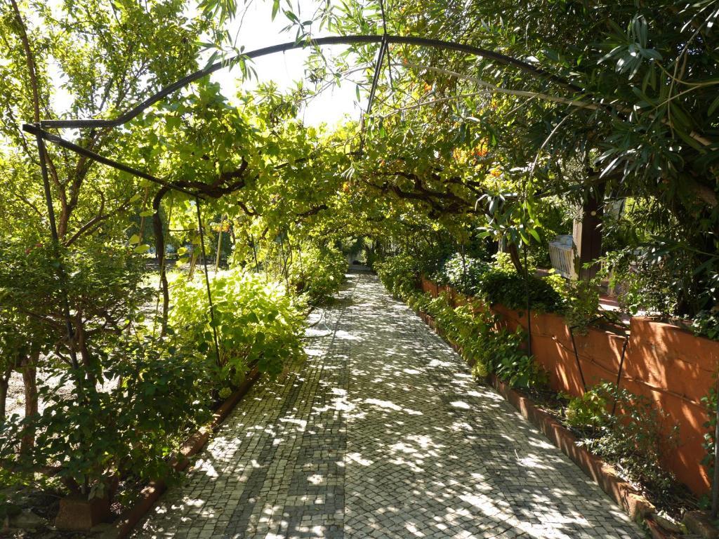 Casa Dos Arrabidos Guest House Torres Novas Exterior photo